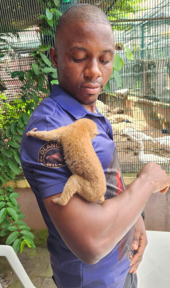Wildlife learning at Olango