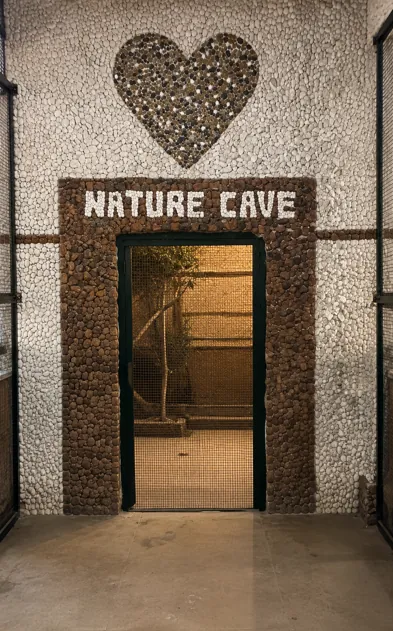 Nature Cave at Olango Wildlife Park